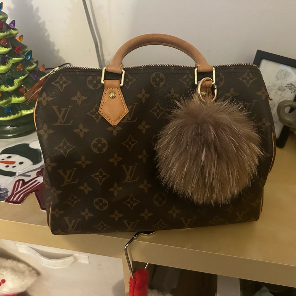 Louis Vuitton speedy 30 monogram